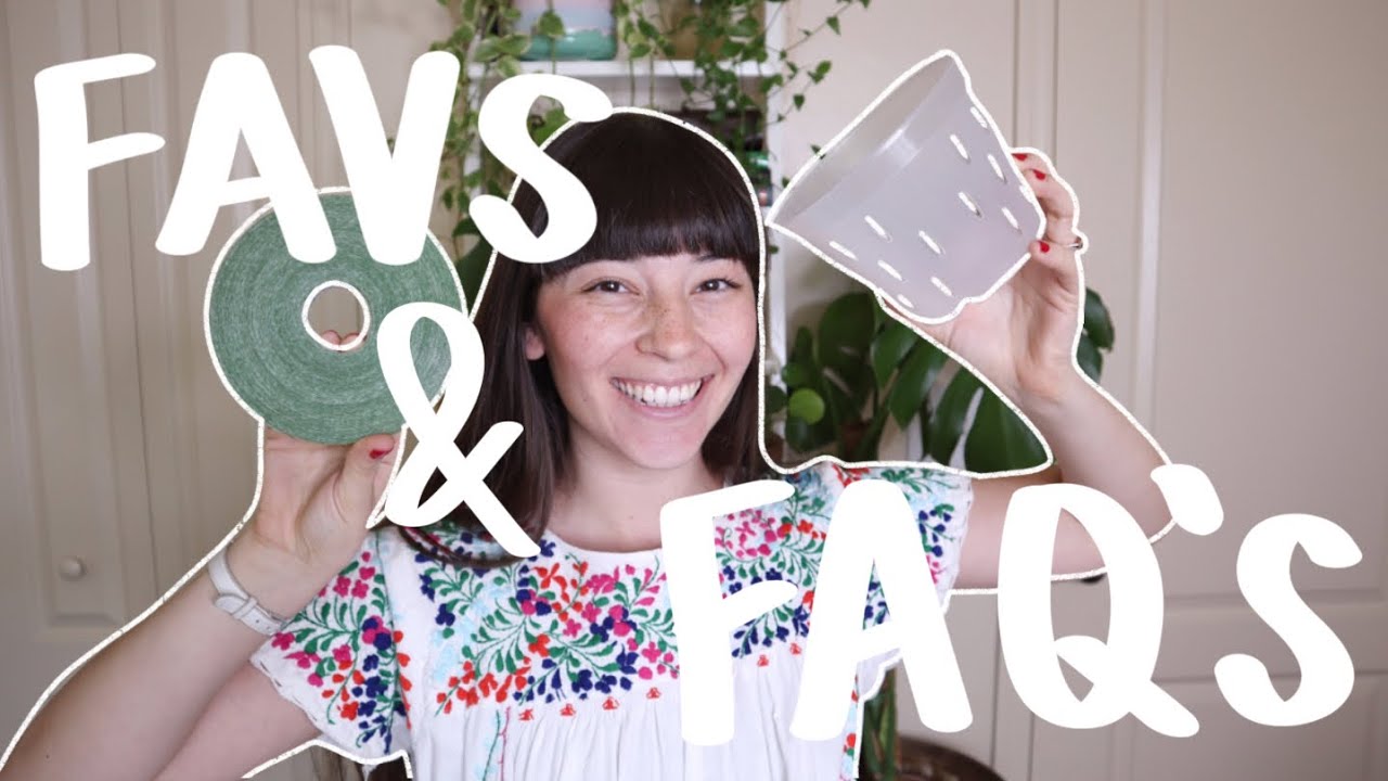 Current Favorite Plant Products & FAQs!