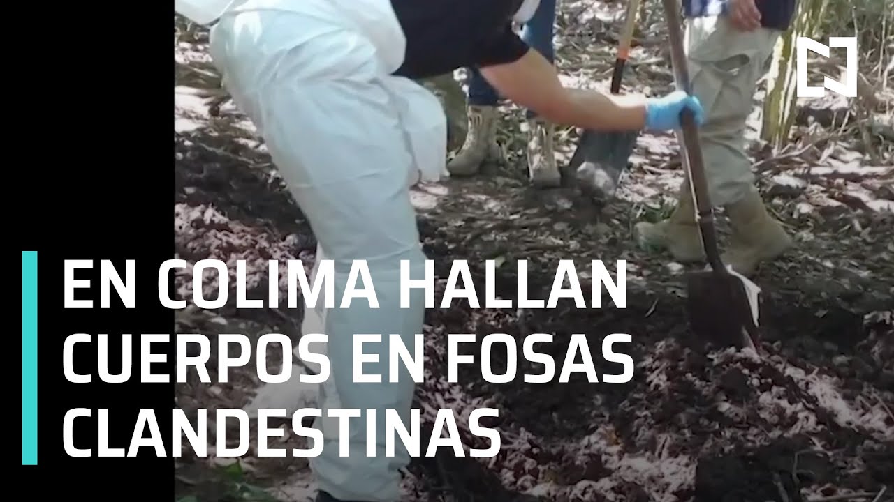 Hallan 11 cuerpos en fosas clandestinas en Colima Las Noticias YouTube