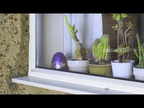 Cadbury Easter | Cactus | 15" - Cadbury Easter | Cactus | 15"