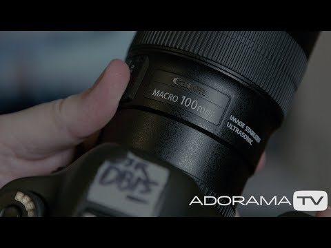 Focus Stacking: Two Minute Tips with David Bergman