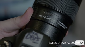 Focus Stacking: Two Minute Tips with David Bergman