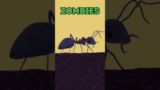 🐜🧟HORMIGA ZOMBIE | Cuando la naturaleza se vuelve contra sí misma