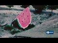 Badakhshan artists concerned over fading miniature art | نگرانی از فراموشی هنر مینیاتوری در بدخشان