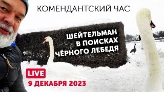 Внимание Внимание Говорит Германия. В Поисках Чёрного Лебедя. Запрет Сериала 