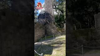 Save Sawmills History #shorts #news