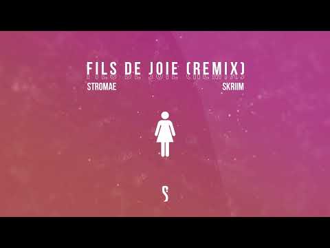 Stromae - Fils de joie (Skriim remix)