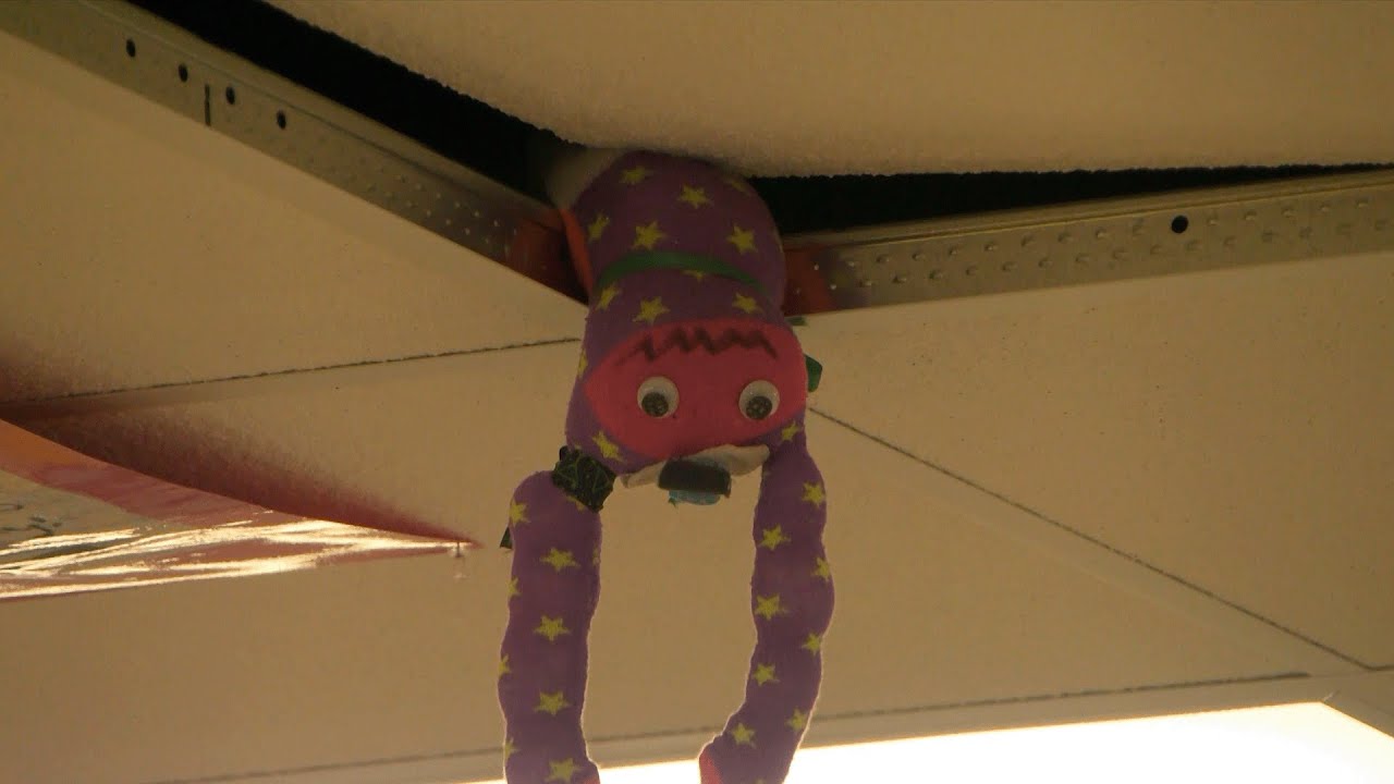 Golden Apple: Pequot Lakes HS Jr. Spreading Happiness By Making Socks Into Rare Gift