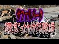 【ゆっくり解説】日本のサファリパークで実際に起こったヤバすぎる事故3選
