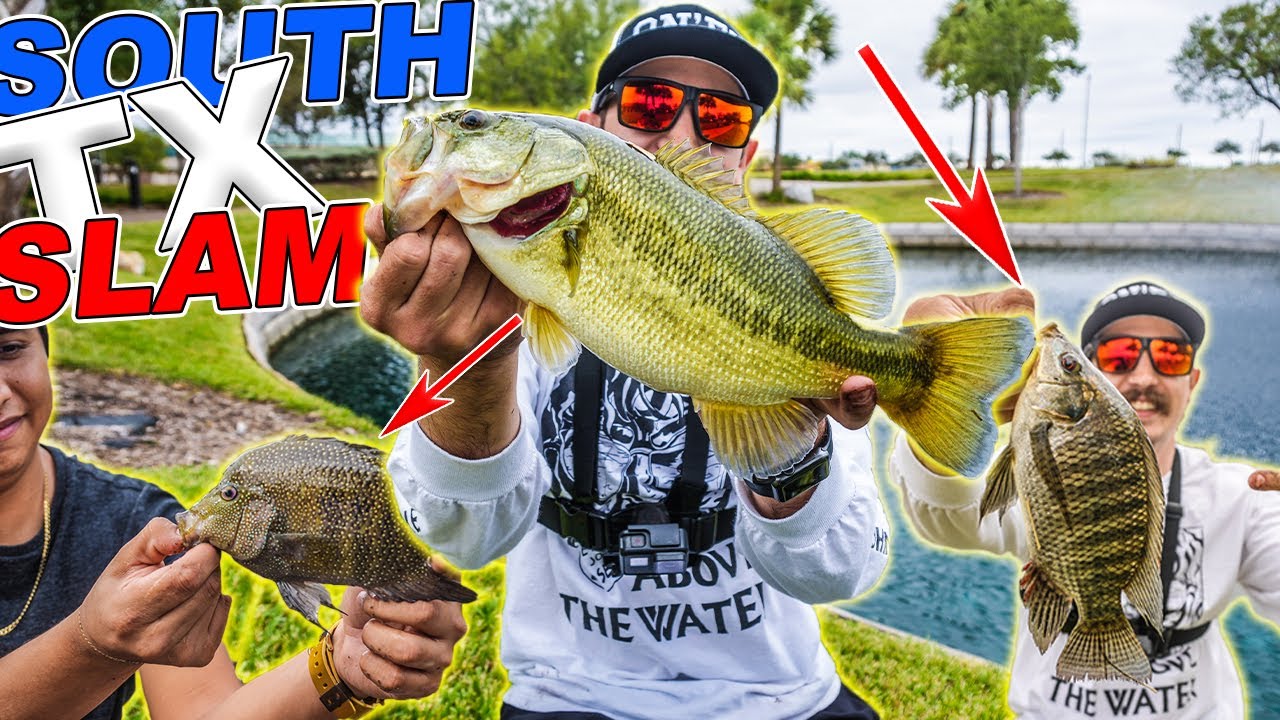 Catching New Species On The Mexico Border With A $30 Walmart Fishing Pole (Cichlids, Tilapia, Bass)