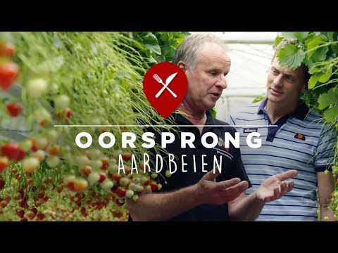 Video: Agrotkan: Wat Is Het? Strooiruimte Met Markeringen Voor Aardbeien En Andere Soorten. Het Gebruik Van Agrotextiel In De Kas