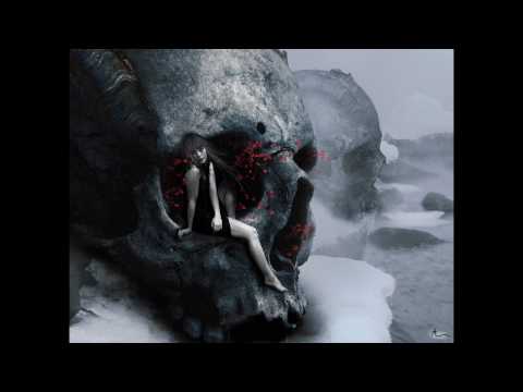 FORGOTTEN MOMENTS (OPHIDIANS REMIX) HD  Vinyl rip