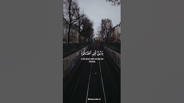 13_Story_Quran ما تيسر من سوره لقمان ♥️✨ #quran #story #استوريات #قرآن #viral #youtube #سورة_لقمان