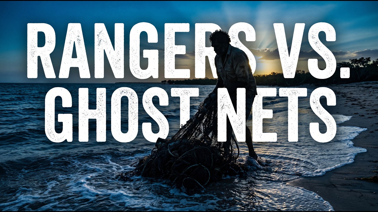 Ghost Nets Are Killing Up to 14,000 Sea Turtles a Year, These Rangers Are Stopping Them