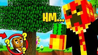 minecraft hide and seek preston