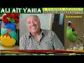 ALI AÏT YAHIA A Yemma Aɛzizen De NACER ZIOUCHE Instrumental