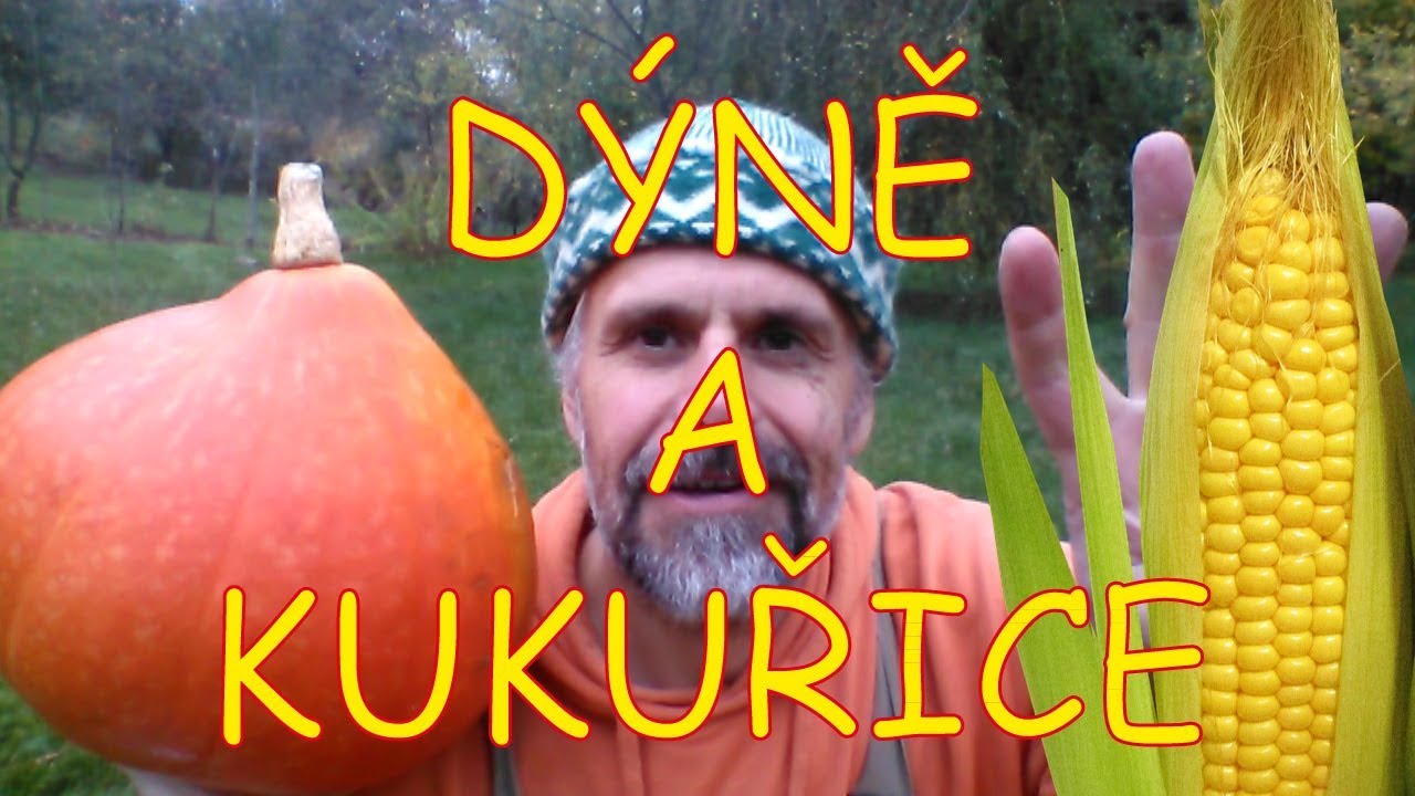 Rostliny pro přežití - dýně a kukuřice
