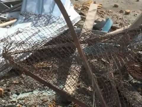 Дневной дозор! Вывести на чистую воду.