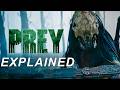 Prey: The Feral Predator - Origins, Weapons, Connection to Alien &amp; Ending