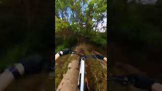 Ciclista Bate Em Árvore Descendo Montanha