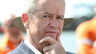 Bill Shortens Departure Is A Big Loss To The Labor Party Andrew Bolt