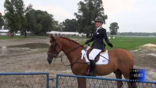 Best Of Balkan Championship in Jumping 2014