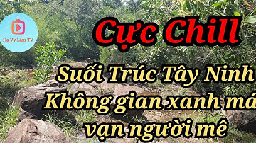 Cực Chill Suối Trúc Tây Ninh Không gian xanh mát vạn người mê