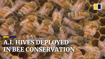 Robotic beehives use artificial intelligence to save bee colonies with round-the-clock care