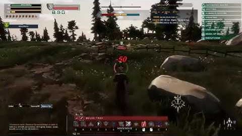 Crowfall Templar PvP