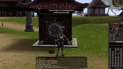 Metin2 P server NiYu2 (Fun Uppen)