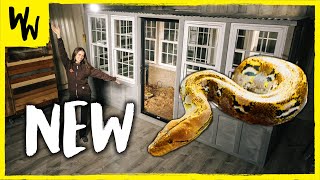 Celebrity I UPGRADED My GIANT Snake’s Enclosure to Make Her Happy Profile