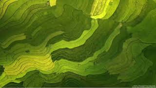 Celebrity Full Stack Development| PHP | Day 49 | Full Stack Web Development | Training | Zero to Advance Wealth