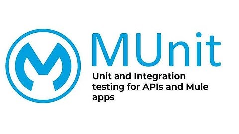 Munit Testing in Mule4 Flow Level and API Kit Router Level . 100% Code Coverage.