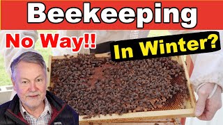 Beekeeping: First Inspection After Winter & WOW!