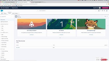 Delete Your Dummy Data In A Salesforce Trial