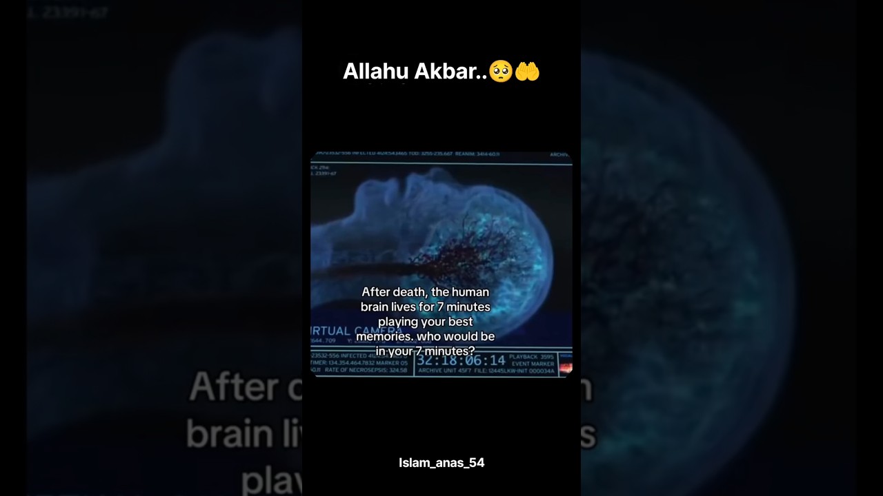 After Death: 7 Minutes of Your Best Memories.