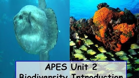 APES Unit 2 Biodiversity Introduction