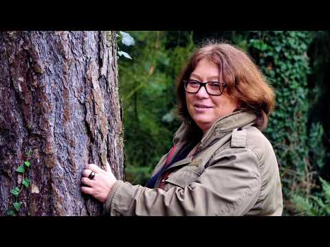 Wideo: Energia Drzew - Alternatywny Widok