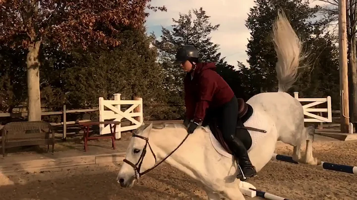 Kelly Fagan: jeffrey jumping around at home