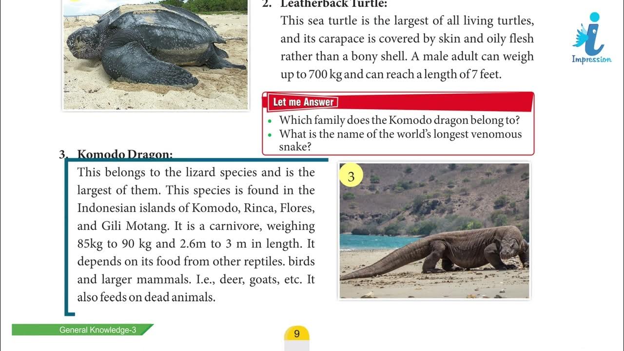 GK Book Class 3 Chapter 3 Reptile species Impression Publication YouTube
