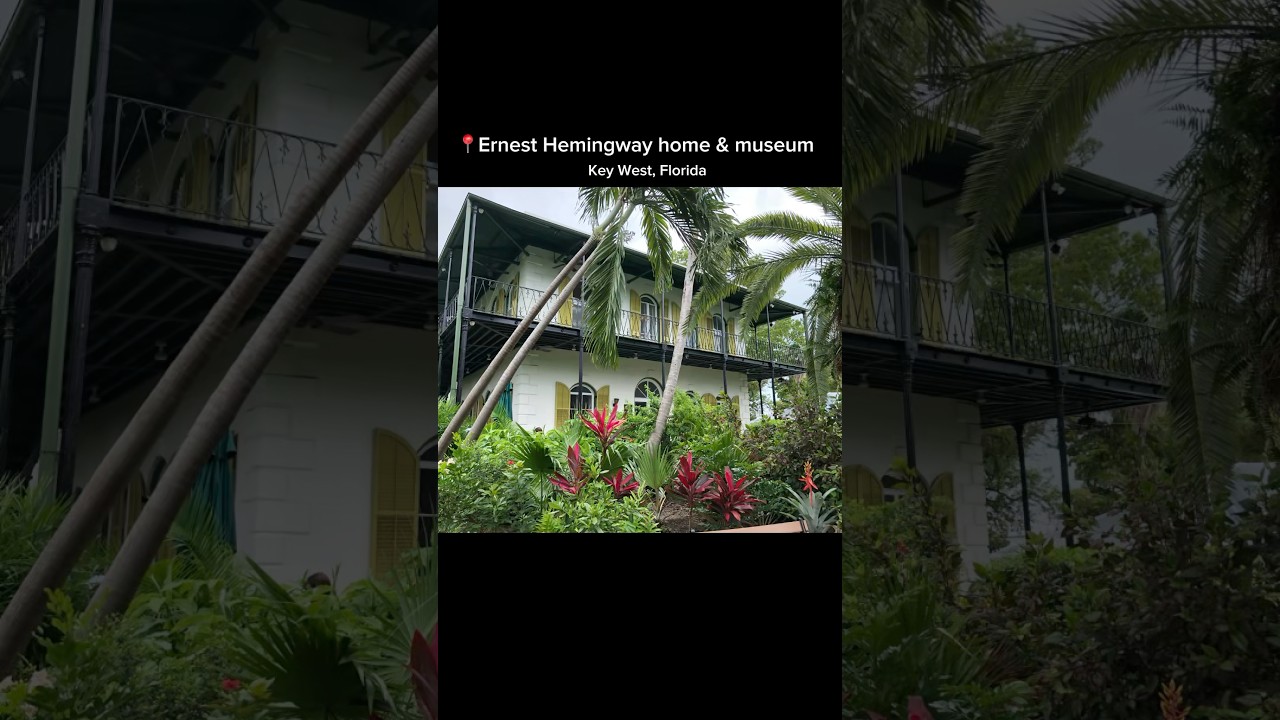 Ernest Hemingway home & museum - polydactyl cats 🐈 🐈‍⬛ 📍Key West 