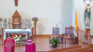 The Fourteenth Week in Ordinary Time (07/08/26)