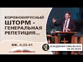 Коронавирусный шторм - генеральная репетиция | Владимир Омельчук | 04.05.2020