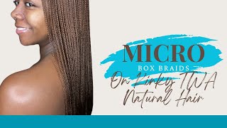 40 Hours Later | REAL Micro Box Braids on Kinky Natural TWA