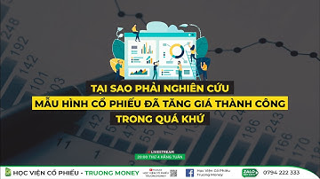 TẠI SAO PHẢI NGHIÊN CỨU MẪU HÌNH CỔ PHIẾU ĐÃ TĂNG GIÁ THÀNH CÔNG TRONG QUÁ KHỨ.