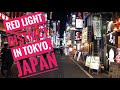 Red Light District at Night in Tokyo, Japan