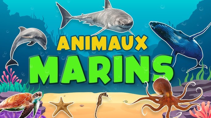 Animaux marins pour enfants en français - Vocabulaire 