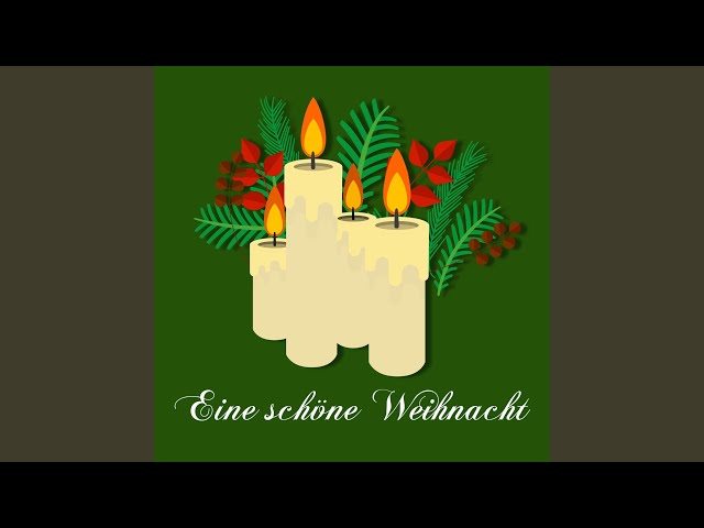 Die Stoakogler - Stille Nacht, Heilige Nacht