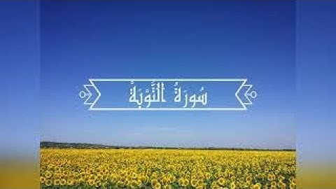 سورة التوبة، تلاوة هادئة، فضيلة الشيخ ماهر المعيقلي. Sourate At-taubah, Maher Al-muaiqly