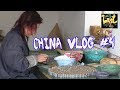 China Vlog #4 Visit the Shell Factory and Demo in Liuyang The City of Fireworks