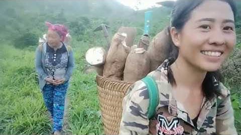 Mus khawb qos pub qaib pub buas 2020 05 05 20 38 31